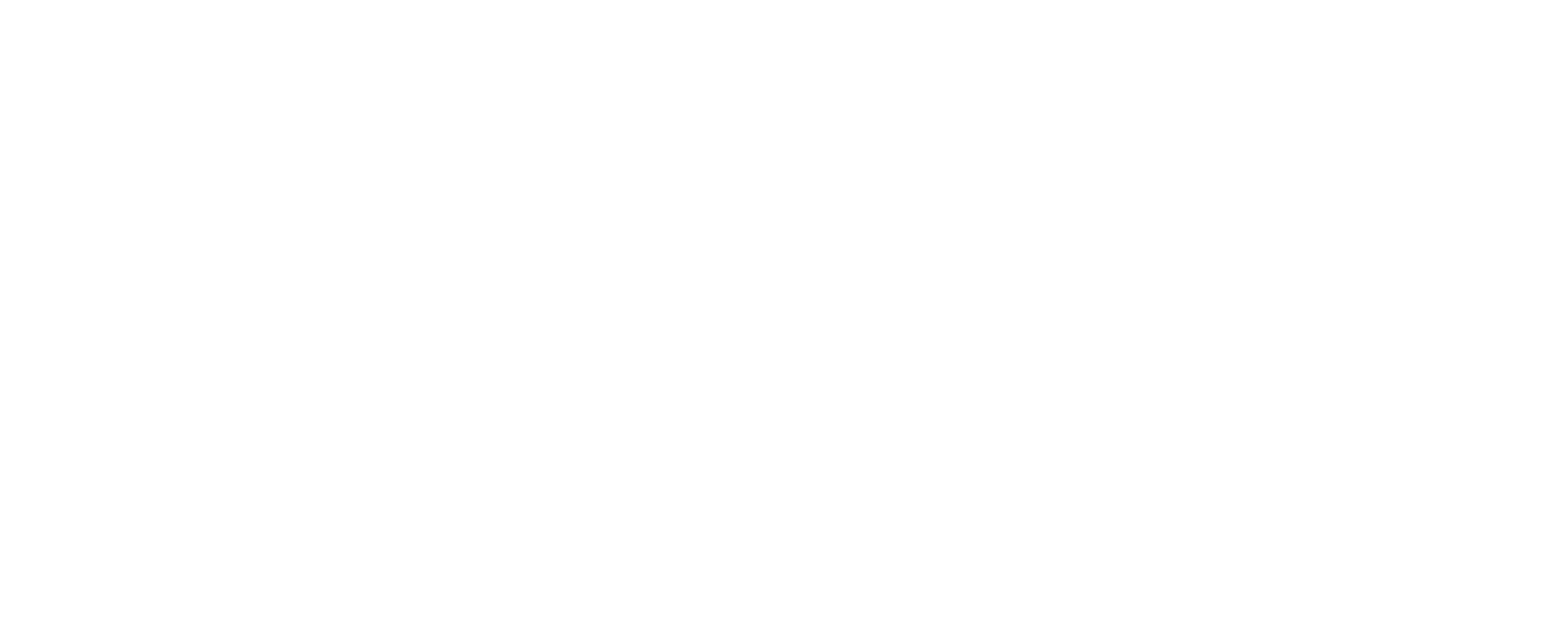 Logo HoloSolis blanc